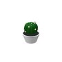 Obecné objekty - interiér / Květiny / Cactus1 - (214x214x260)
