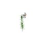 Przedmioty ogólne - wnętrze / Květiny / Lilium longiflorum - (107x78x300)
